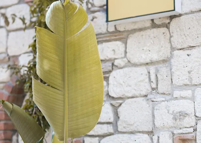 Voq Alaçatı * Çeşme