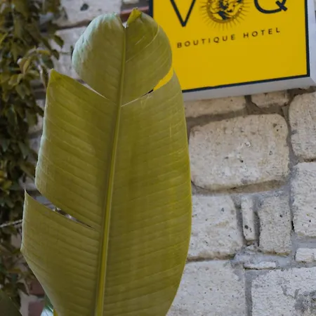 Voq Alacati Frühstückspension Çeşme