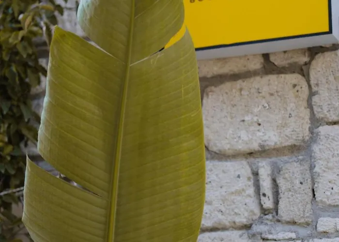 Voq Alacati Bed and Breakfast Çeşme